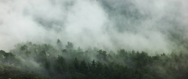 Mountain Landscape Rain Clouds Forest Turkey — Stock Photo, Image