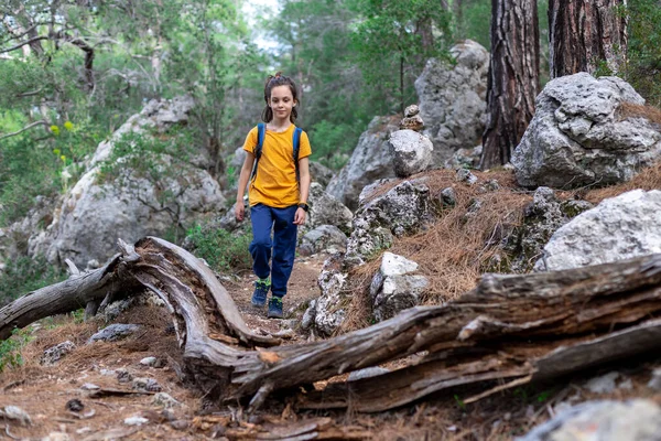 Περιπέτεια Και Ταξίδια Ένα Μικρό Αγόρι Σακίδιο Περπατάει Ένα Δασικό — Φωτογραφία Αρχείου