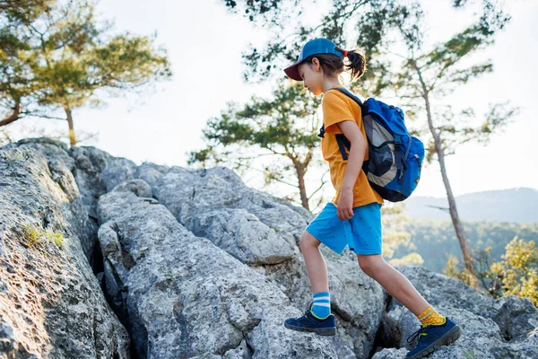 Περιπέτεια Και Ταξίδια Ένα Μικρό Αγόρι Σακίδιο Περπατάει Ένα Δασικό — Φωτογραφία Αρχείου