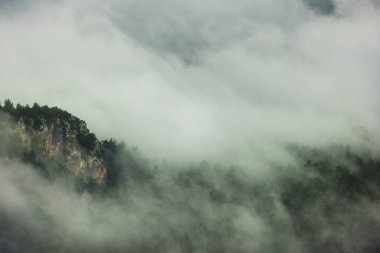 Dağ manzarası. Ormanın üzerinde yağmur bulutları. Türkiye.