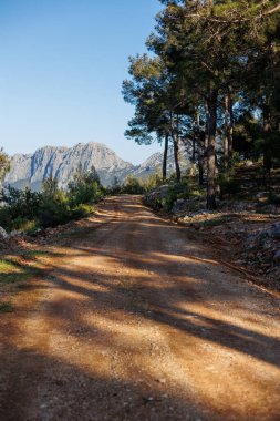 Türkiye 'de yaz aylarında dağlık bir dağ yamacı boyunca uzanan dağ yolu. Dağlar ve orman. Ormanda yol.