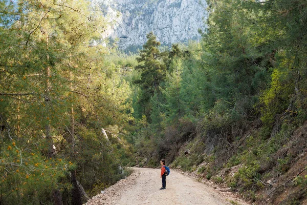 Niño Viajero Turista Con Una Mochila Largo Camino Montaña Senderismo — Foto de Stock