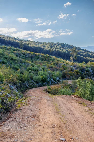 Türkiye 'de yaz aylarında dağlık bir dağ yamacı boyunca uzanan dağ yolu. Dağlar ve orman. Ormanda yol.