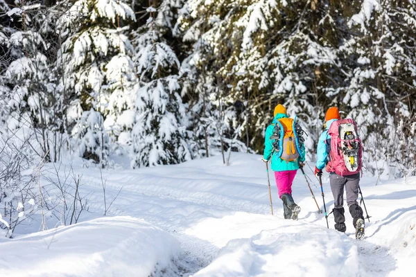 Podróżnicy Podróżują Razem Przez Piękną Przyrodę Zimie Dwie Dziewczyny Przechadzają — Zdjęcie stockowe