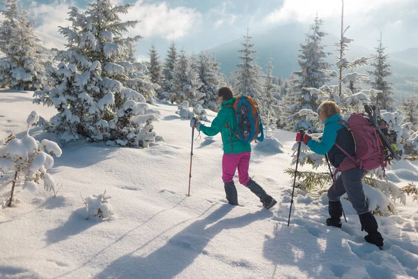2人の女性がバックパック 冬のトレッキング 冬には山の中で2人のスノーシューで歩く ハイキング機器 — ストック写真