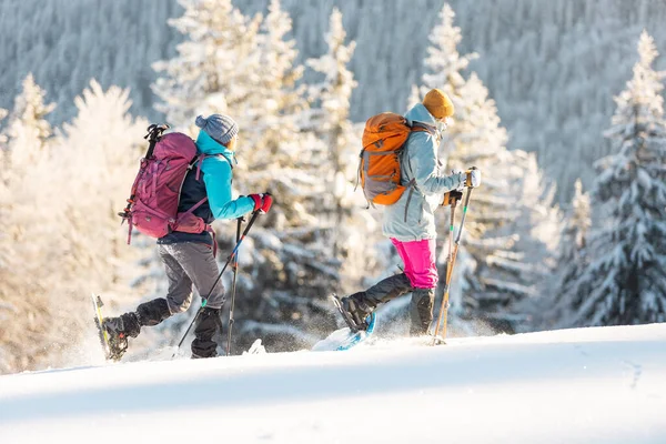 两名妇女穿着雪鞋在雪地里行走 冬季徒步旅行 两名男子穿着登山装备在山上行走 — 图库照片