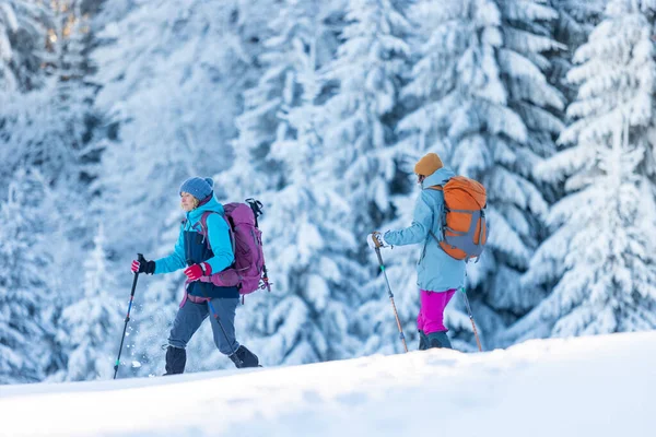 两个人穿着雪鞋 背着背包远足 冒险和极端娱乐的概念 — 图库照片