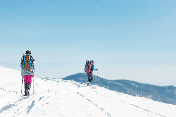 Dwie Dziewczyny Plecakami Spacerują Ścieżką Górach Zimowych Wędrówki Górach Przygoda — Zdjęcie stockowe