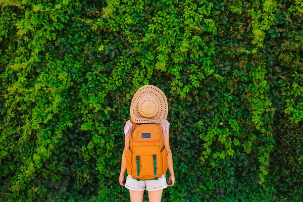 Lány Utazik Egy Lány Kalapban Hátizsákkal Hátoldalán Egy Zöld Fal — Stock Fotó