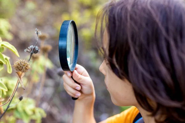 这个男孩拿着放大镜研究自然 一个小孩看着一张有放大镜的床单 森林里好奇的孩子们的暑假远足 — 图库照片