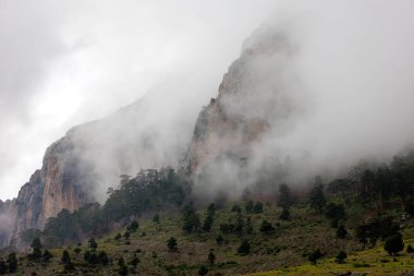 Bulutlardaki dağlar. Sisin içinde yeşil ağaçlar olan bir dağın havadan görünüşü. Yüksek uçurumları, ormanı, gökyüzünü olan güzel bir manzara. Dedegol. Türkiye.