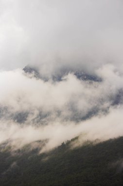 Dağ manzarası. Ormanın üzerinde yağmur bulutları. Türkiye.