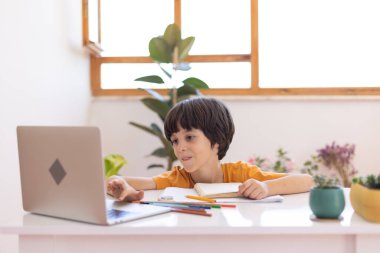 the boy uses a laptop during a distance lesson. The child communicates online.