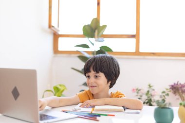 the boy uses a laptop during a distance lesson. The child communicates online.