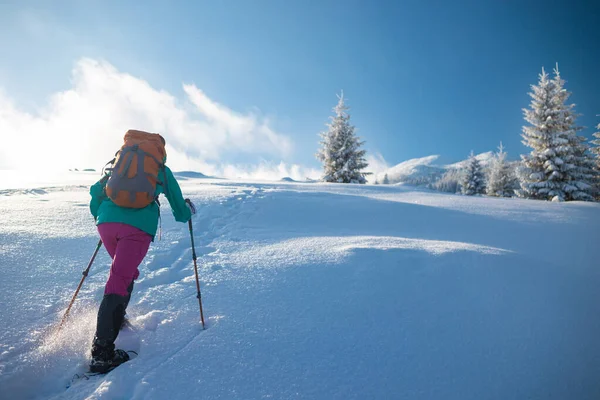 Žena Batohem Sněžnicích Šplhá Zasněženou Horu Zimní Trekking Turistické Vybavení — Stock fotografie