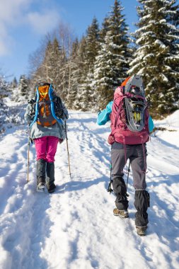 Sırt çantalarında kar ayakkabıları, kış yürüyüşü, kışın dağlarda yürüyüş ekipmanları olan iki kadın.