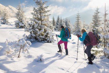 Sırt çantalı iki kız ağaçların arasında karda yürüyor. Dağlarda kış yürüyüşü. Dağlarda macera.