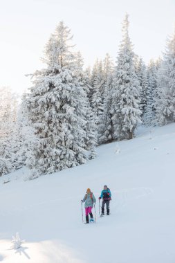 Two women with backpacks walk in snowshoes in the snow, winter trekking, two people in the mountains in winter, hiking equipment. winter holiday