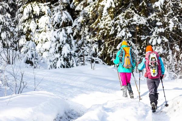 Cestovatelé Spolu Cestují Krásnou Přírodou Zimě Dvě Dívky Procházejí Zimě — Stock fotografie