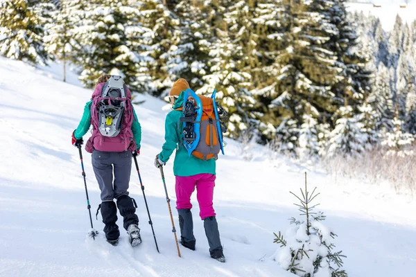 Podróżnicy Podróżują Razem Przez Piękną Przyrodę Zimie Dwie Dziewczyny Przechadzają — Zdjęcie stockowe