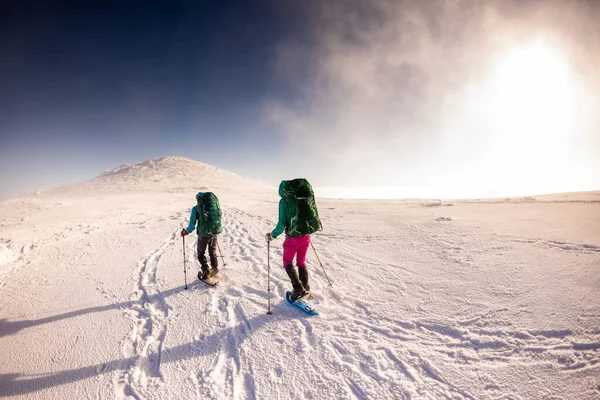 Tourists travel together in the mountains in winter. two girls snow-capped mountains. hiking in the mountains on snowshoes.