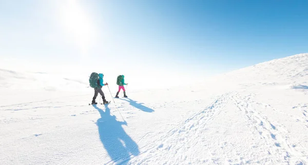Dwie Kobiety Zimowej Wycieczce Dziewczyny Kijami Trekkingowymi Podążają Pokrytą Śniegiem — Zdjęcie stockowe