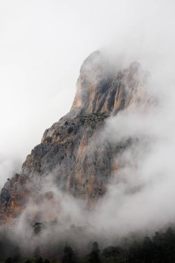 Bulutlardaki dağlar. Sisin içinde yeşil ağaçlar olan bir dağın havadan görünüşü. Yüksek uçurumları, ormanı, gökyüzünü olan güzel bir manzara. Dedegol. Türkiye.