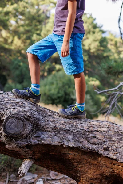 Yakın plan bir çocuğun ayakları devrilmiş bir ağacın kütüğünde yürür. Spor ayakkabılı bir çocuk devrilmiş bir ağaçta yürüyor. Ormanda kamp yapmak..