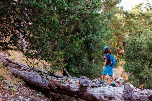 Chłopiec Chodzi Upadłym Drzewie Lesie Wypoczynek Dla Dzieci Szczęśliwe Dziecko — Zdjęcie stockowe