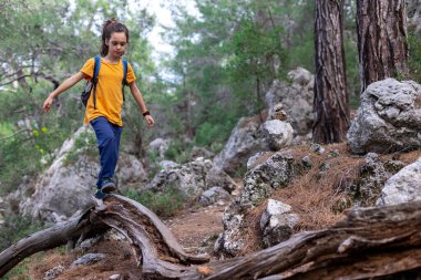 Parlak sarı tişörtlü bir çocuk bir sırt çantasıyla ormanda yürüyor, düşen bir ağaçta dengede duruyor. İnsanların ve doğanın imajını kavra.