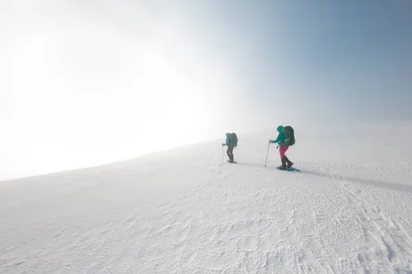 Dwóch Turystów Zimowych Górach Rakietach Śnieżnych Przygoda Górach — Zdjęcie stockowe