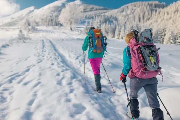 Sırt çantalarında kar ayakkabıları, kış yürüyüşü, kışın dağlarda yürüyüş ekipmanları olan iki kadın.