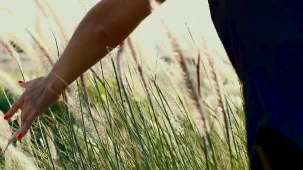 Meisje Loopt Haar Hand Het Hoge Gras Raakt Het Tijdens — Stockvideo