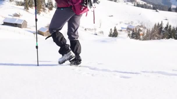 冬のトレッキング スノーシューズのバックパックを持つ女性は 冬のハイキング ハイキング機器 スノーシュークローズアップを歩きます — ストック動画