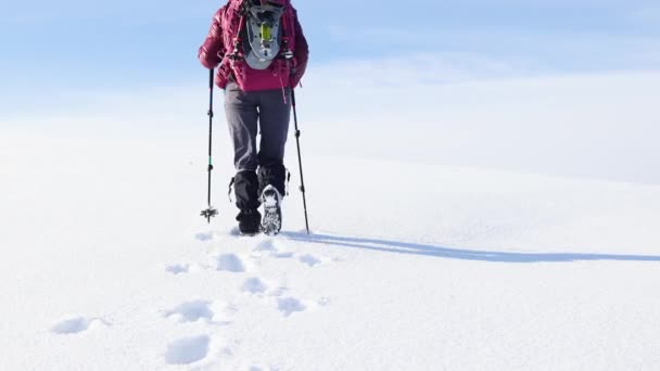 여자가 신발을 여행을 겨울에 장비를 가지고 등산을 — 비디오