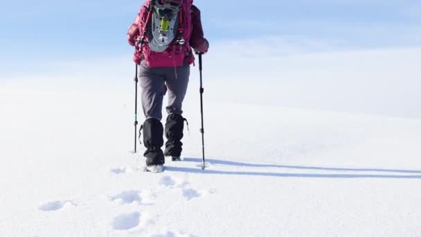 Winterwandern Frau Mit Rucksack Schneeschuhen Geht Schnee Spazieren Winterwandern Wanderausrüstung — Stockvideo