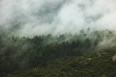 Dağ manzarası. Ormanın üzerinde yağmur bulutları. Türkiye.