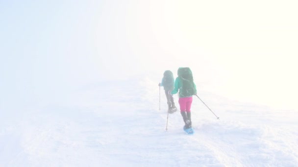 Climbers Climb Mountain Two Girls Snowshoes Walk Snow Hiking Mountains — Stockvideo