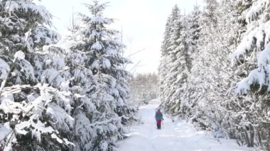 Sırt çantalı iki kadın karda kar ayakkabılarıyla, kış yürüyüşü, kışın dağlarda yürüyüş ekipmanları,.