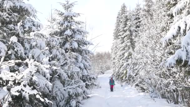 Dos Mujeres Con Mochilas Caminan Raquetas Nieve Nieve Caminatas Invierno — Vídeos de Stock