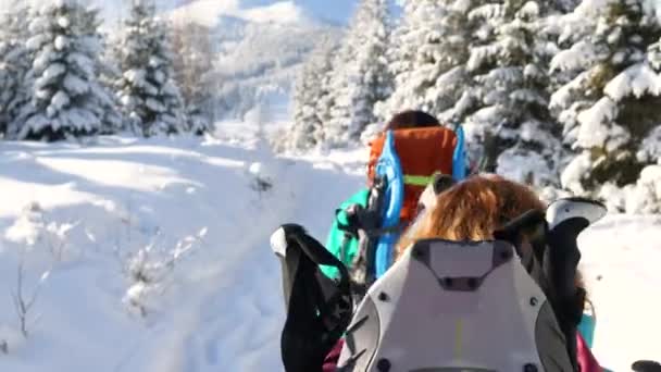 Bergsteiger Erklimmen Den Berg Zwei Mädchen Mit Rucksäcken Laufen Durch — Stockvideo