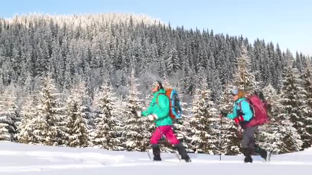 Två Kvinnor Med Ryggsäckar Snöskor Snön Vinter Vandring Två Personer — Stockvideo