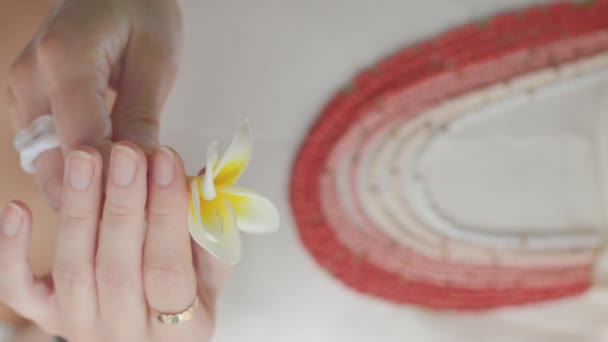 Plan Vertical Jeune Fille Tient Une Fleur Blanche Dans Paume — Video