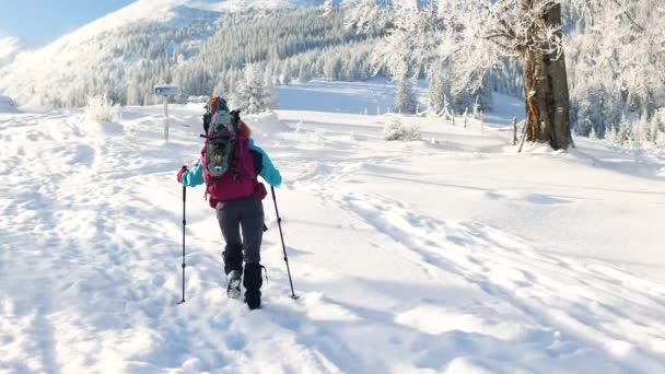 Vacanze Invernali Racchette Neve Camminare Sulla Neve Due Ragazze Con — Video Stock