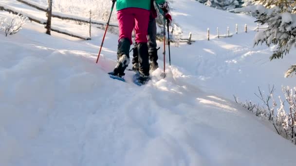 Winter Trekking Twee Meisjes Met Rugzakken Sneeuwschoenen Wandelen Door Sneeuw — Stockvideo