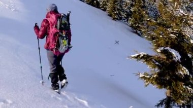 Kış yürüyüşü. Sırt çantalı ve kar ayakkabılı bir kadın dağlarda karda yürür, kış yürüyüşü yapar, kışın dağlarda yürüyüş malzemesi yürür.