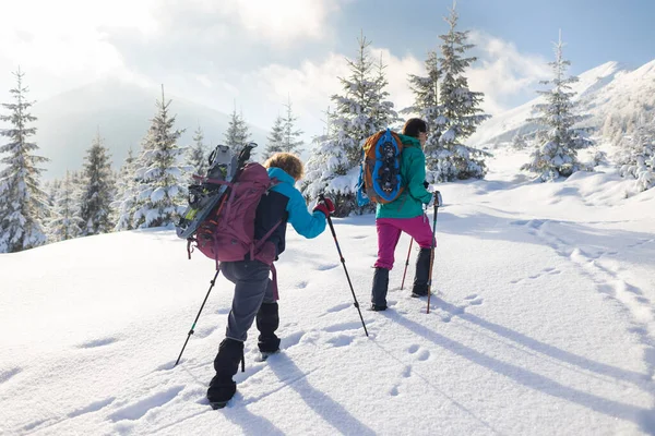 Dvě Dívky Batohy Procházejí Sněhem Mezi Stromy Zimní Turistika Horách — Stock fotografie