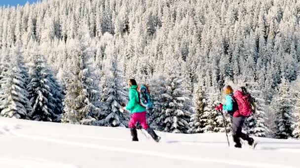 Wintervakantie Sneeuwschoenen Sneeuw Wandelen Twee Meisjes Met Rugzakken Lopen Een — Stockvideo