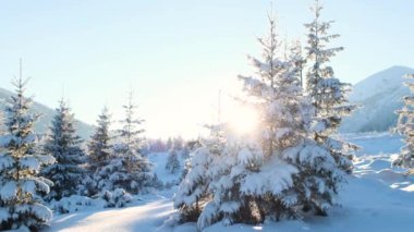 Kış dağlarını kaplayan kar, karla kaplı ağaçlar, kışın dağ manzarası.