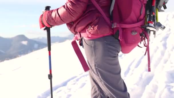 Πορτρέτο Ενός Νεαρού Κοριτσιού Στα Βουνά Του Χειμώνα — Αρχείο Βίντεο